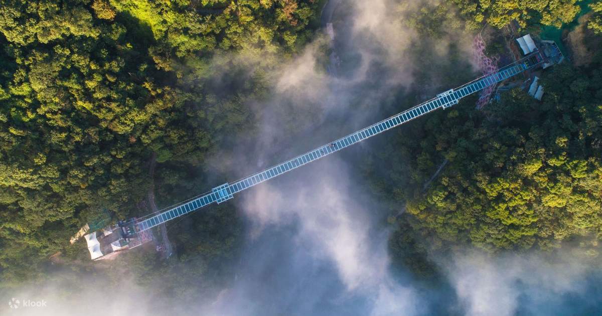 Moskvada qo‘limni so‘rishga ruxsat beraman